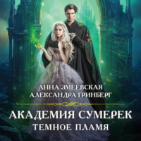 Александра Гринберг. Академия сумерек. Темное пламя