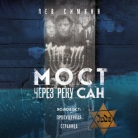 . Мост через реку Сан. Холокост: пропущенная страница