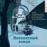 Иван Шипнигов. Непонятный роман