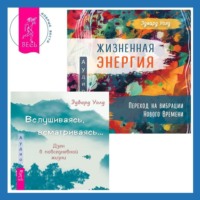 . Вслушиваясь, всматриваясь… Дзен в повседневной жизни + Жизненная Энергия. Переход на вибрации Нового Времени