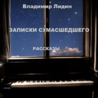 Владимир Лидин. Записки сумасшедшего