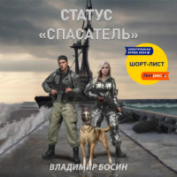 Владимир Георгиевич Босин. Статус «Спасатель»