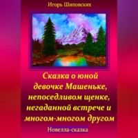 . Сказка о юной девочке Машеньке, непоседливом щенке, негаданной встрече и многом-многом другом