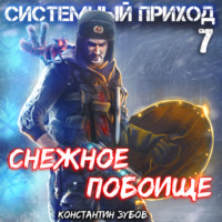 Константин Зубов. Системный приход 7. Зима пришла
