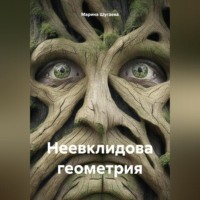 . Неевклидова геометрия