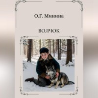 . Волчок
