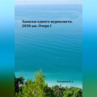 Василий Анатольевич Теплоухов. Записки одного журналиста. 2030-ые. Очерк I