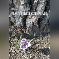 . Частный случай