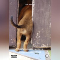 . Ускользающая чистота. Сборник ранних рассказов