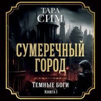 . Темные боги. Книга 1. Сумеречный город