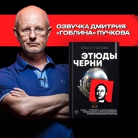 . Этюды черни