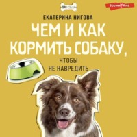 . Чем и как кормить собаку, чтобы не навредить