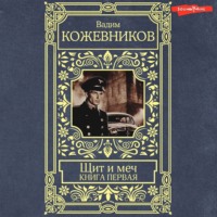 . Щит и меч. Книга первая