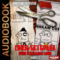 Дмитрий Распопов. Связь без брака. Книга 3. Время разбрасывать камни