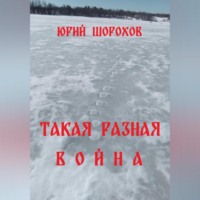 Юрий Шорохов. Такая разная война