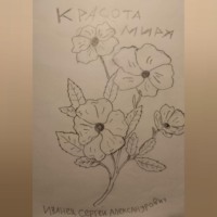 . Красота Мира