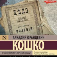 . Уголовный мир царской России