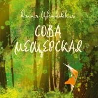 Дэлия Цветковская. Сова Мещерская
