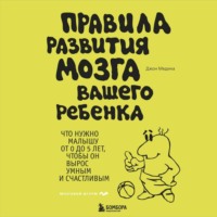 Джон Медина. Правила развития мозга вашего ребенка
