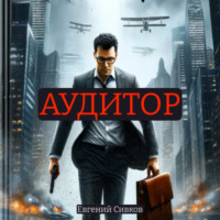 Евгений Владимирович Сивков. Аудитор