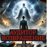 . Аудитор. Возвращение
