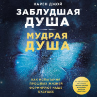 . Заблудшая душа – мудрая душа. Как испытания прошлых жизней формируют наше будущее