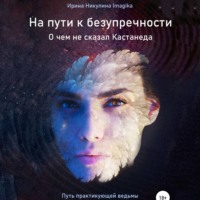 Ирина Никулина Имаджика. На пути к безупречности. О чем не сказал Кастанеда. Путь практикующей ведьмы