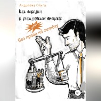 . Как победить в гражданском процессе, или Без права на ошибку