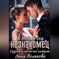. Незнакомец в Новый год, или Cудьба и на печке найдет
