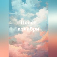 . Полёт колибри