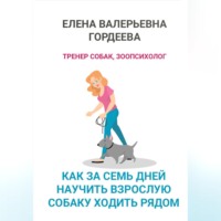 . Как за семь дней научить взрослую собаку ходить рядом