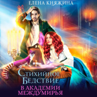 . Стихийное бедствие в Академии Междумирья