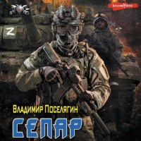 Владимир Поселягин. Сепар
