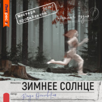 . Зимнее солнце