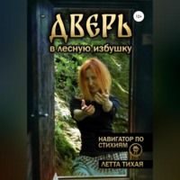 . Дверь в лесную избушку. Навигатор по стихиям