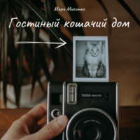 . Гостиный кошачий дом