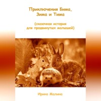 . Приключения Бима, Зима и Тима. Сказочная история для продвинутых малышей