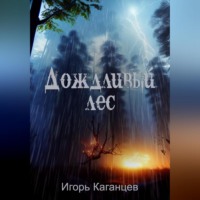 . Дождливый лес