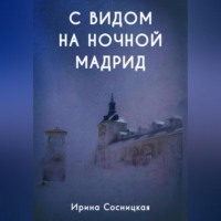 . С видом на ночной Мадрид