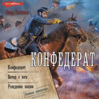 . Конфедерат. Ветер с юга. Рождение нации