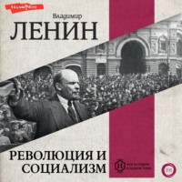 . Революция и социализм