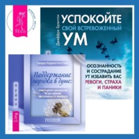 . Поддержание порядка в душе: практическое руководство по достижению эмоционального комфорта + Успокойте свой встревоженный ум