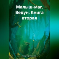 . Малыш-маг. Ведун. Книга вторая