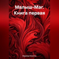 Владимир Поселягин. Малыш-Маг. Книга первая