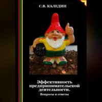 Сергей Каледин. Эффективность предпринимательской деятельности. Вопросы и ответы