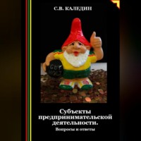 Сергей Каледин. Субъекты предпринимательской деятельности. Вопросы и ответы