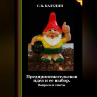 Сергей Каледин. Предпринимательская идея и ее выбор. Вопросы и ответы