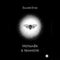 Егор Бушев. Мотылёк в темноте