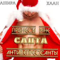 Ашира Хаан. Принеси мне, Санта, антидепрессанты