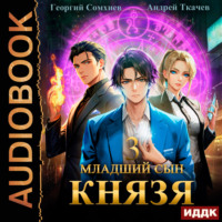 . Младший сын князя. Книга 3